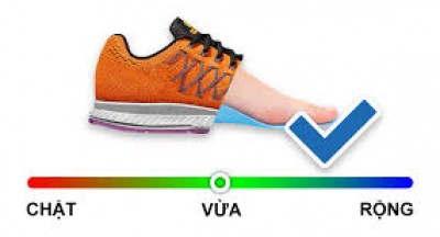 CHỌN SIZE GIÀY NIKE, ADIDAS