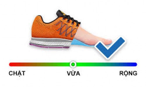 CHỌN SIZE GIÀY NIKE, ADIDAS